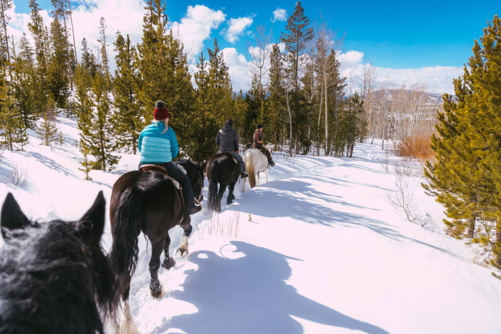 horseback riding tour denver colorado