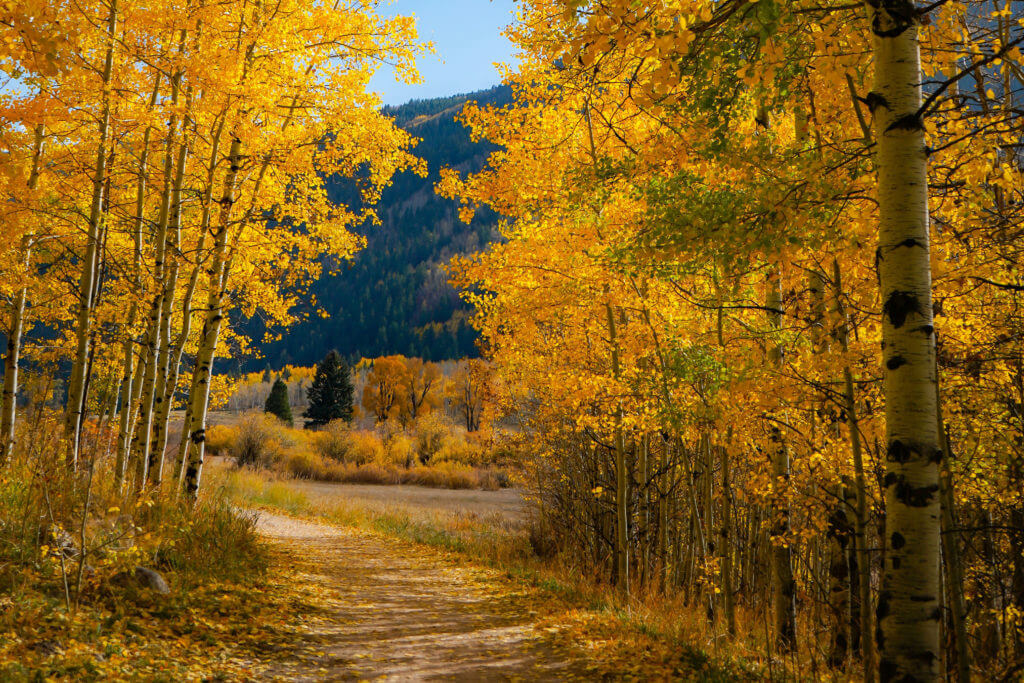 Best Colorado Fall Foliage Hiking