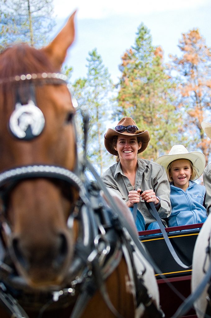 Colorado Mountain Horse Wagon Ride