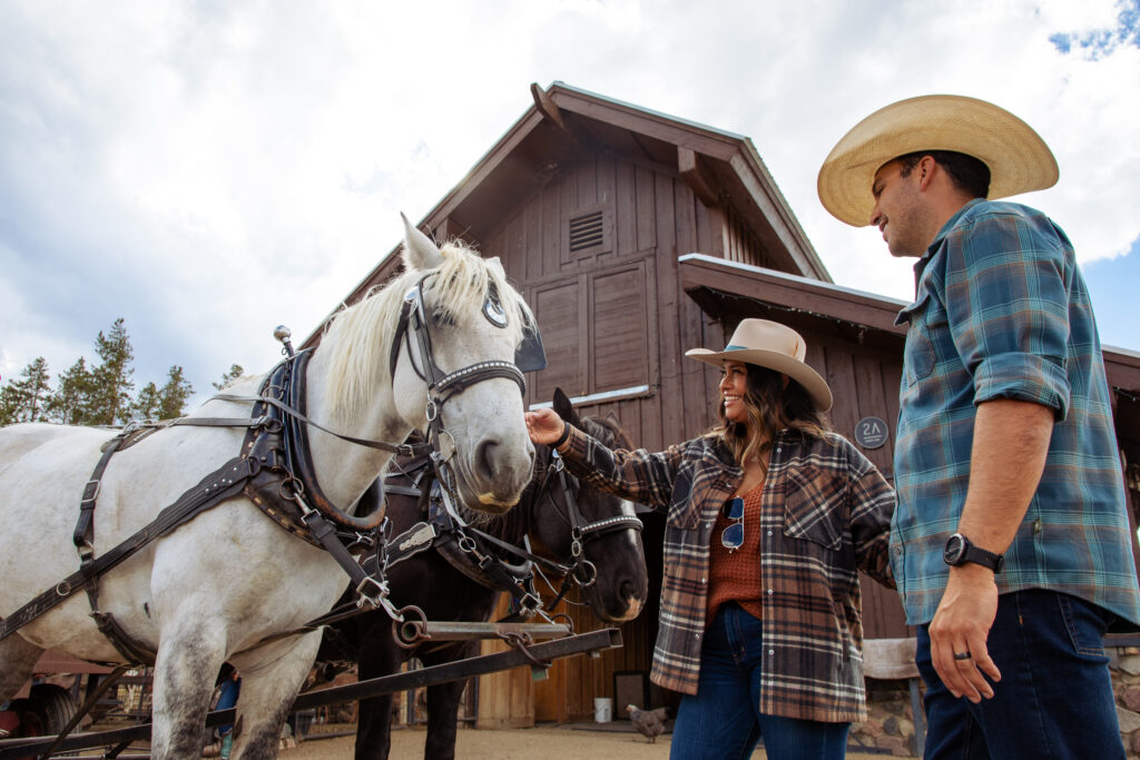 Wagon ride horses being pet by a man and woman